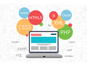 Custom Web Application Development