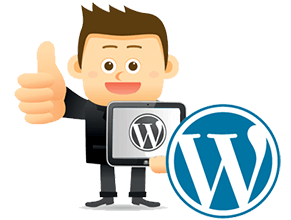 hire wordpress expert