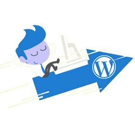 hire wordpress developer