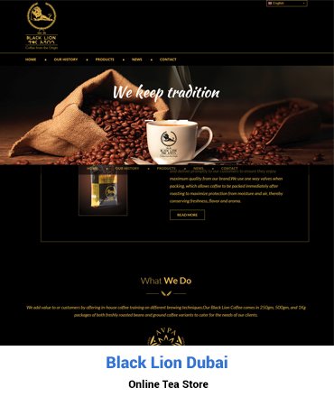 Ecommerce Web Design Dubai - blackliondubai