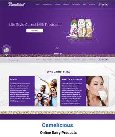 Ecommerce Website Solutions - camelicious