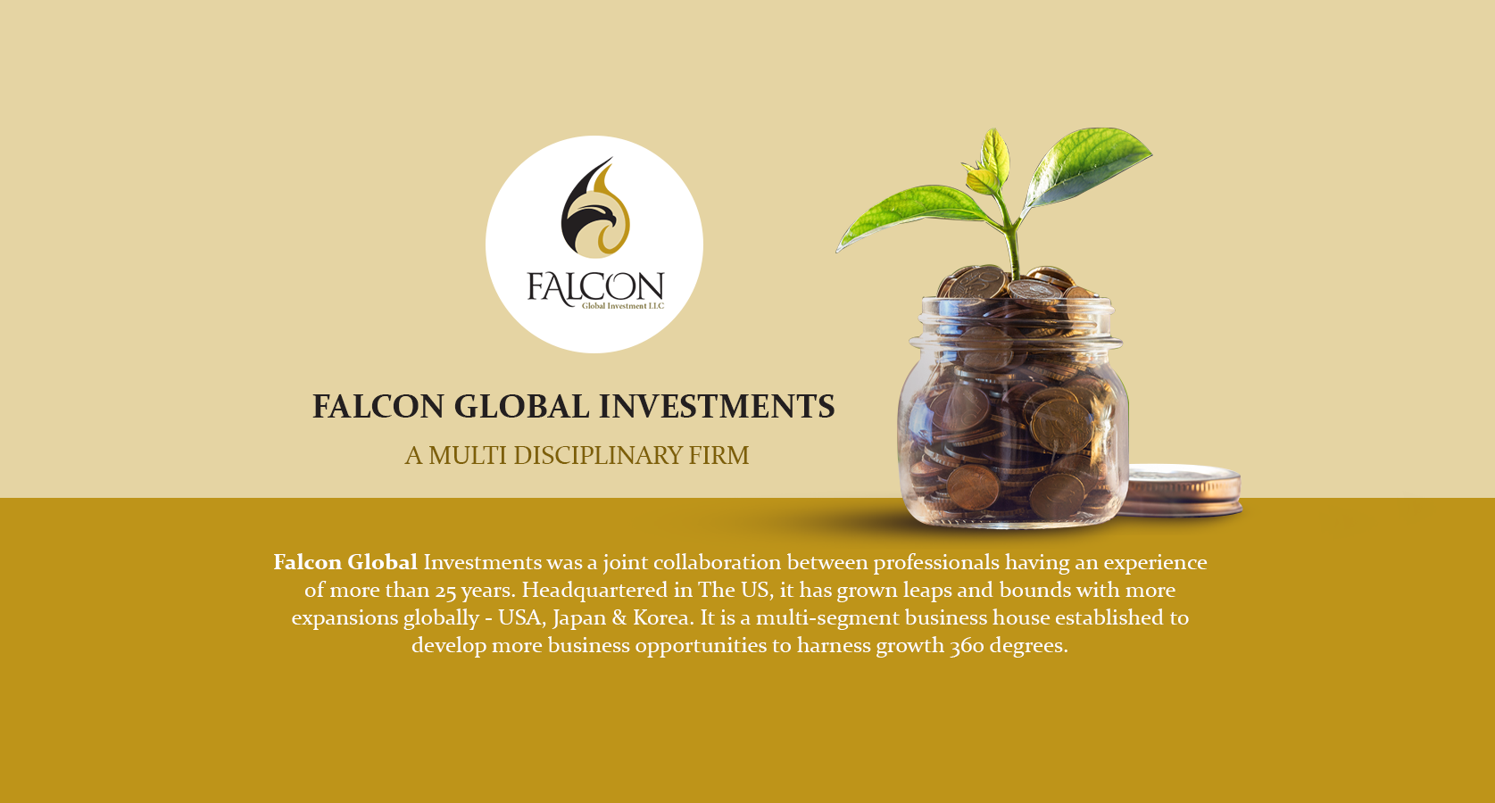 Falcon Investment