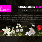 QIANLONG FLOWERS