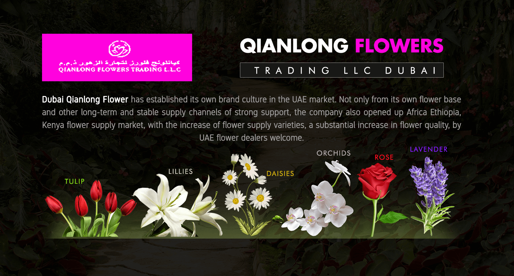 QIANLONG FLOWERS