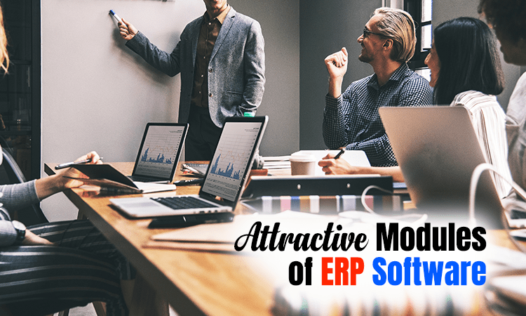Attractive-Modules-of-ERP-Software
